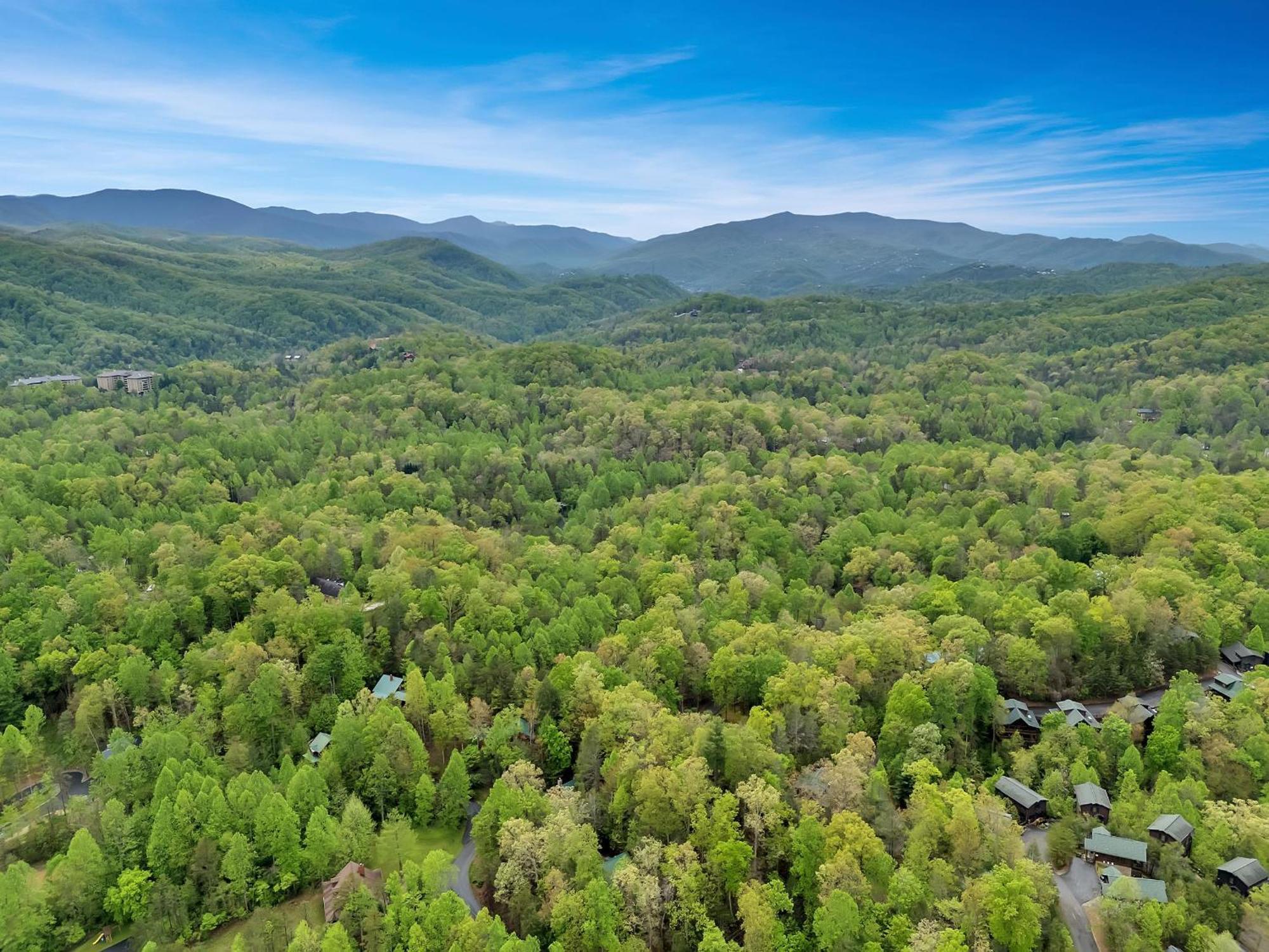 Foxy Lady #1531 Villa Gatlinburg Exterior foto