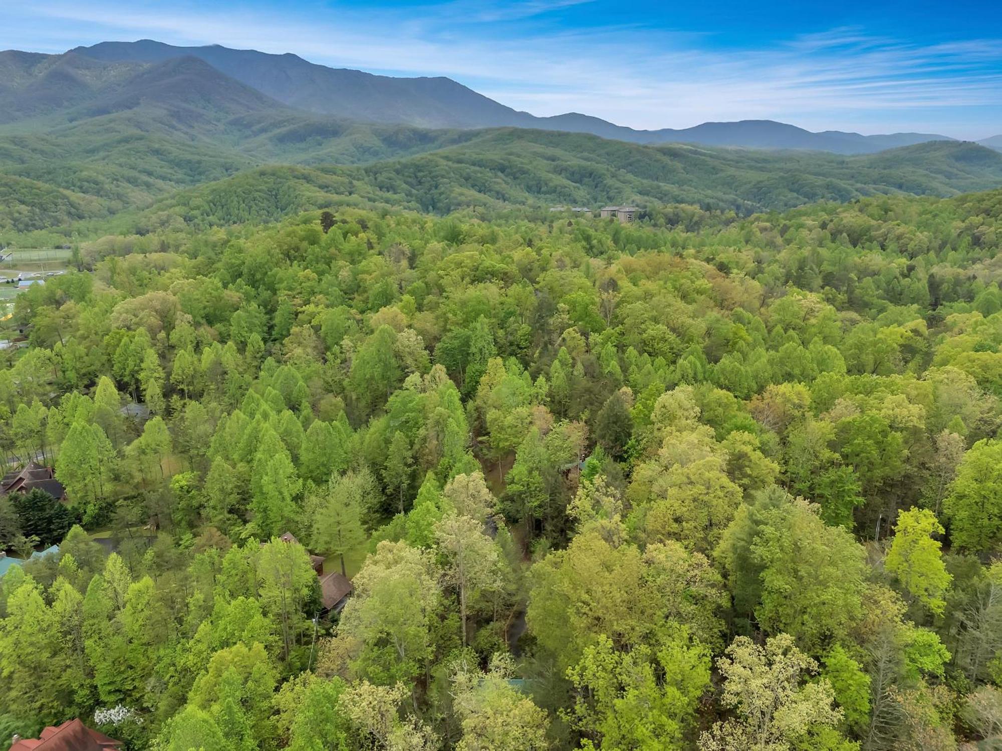 Foxy Lady #1531 Villa Gatlinburg Exterior foto